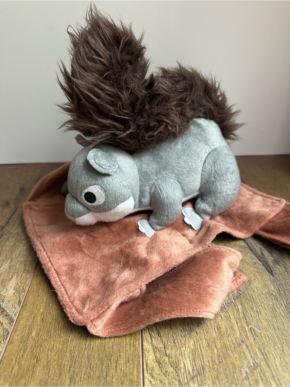 Dog Halloween Costume with Squirrel on Back